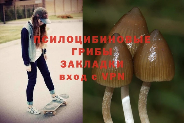 кокс Алзамай