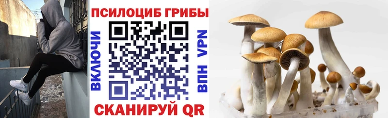OMG как войти  Москва  Псилоцибиновые грибы ЛСД 